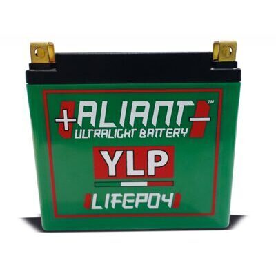 YLP18 LiFePO4 12V 18Ah Motor-Battery