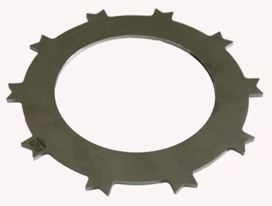 DSC-006 Brake disk Beringer wheel 6